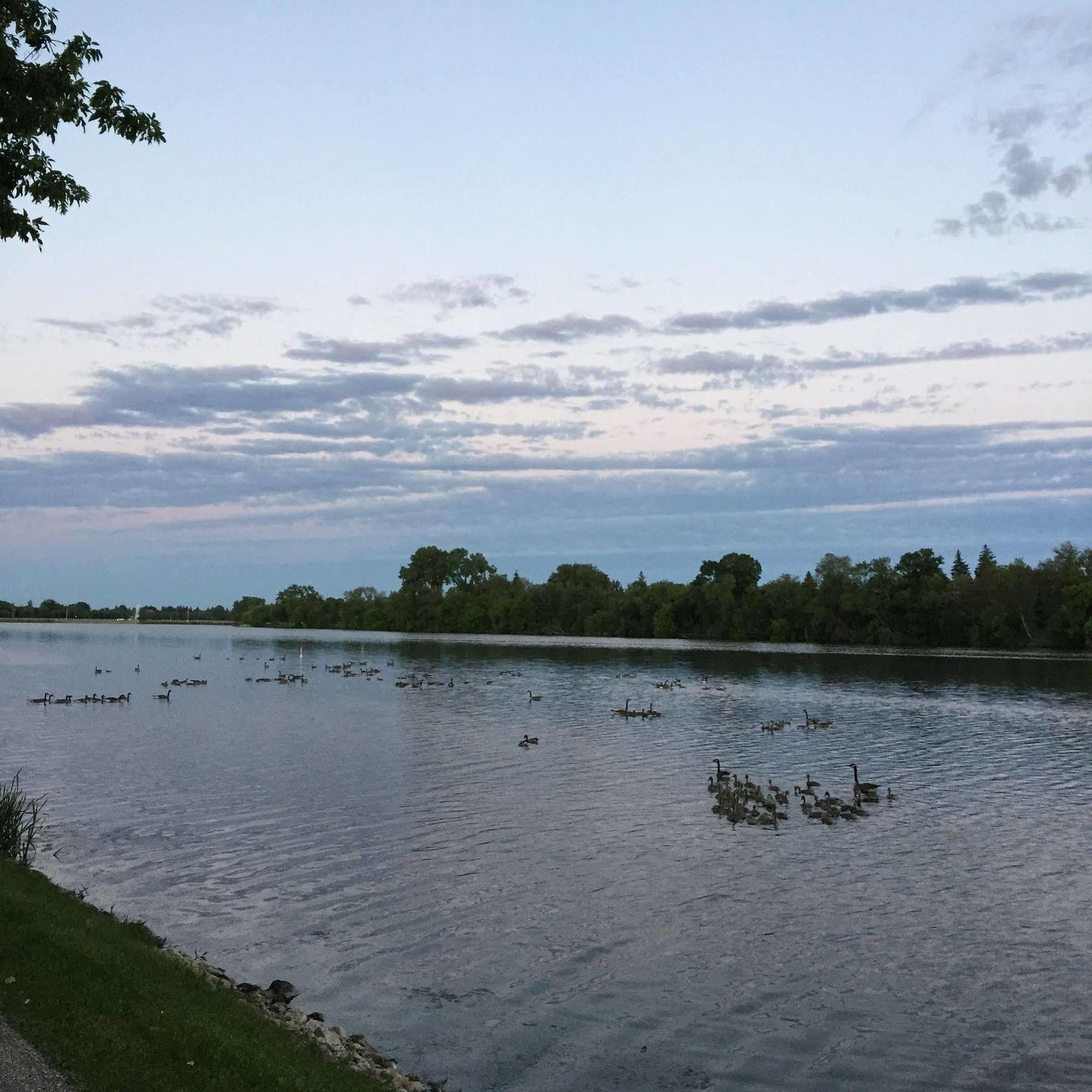 Yellow Quill Motel Portage la Prairie Zewnętrze zdjęcie